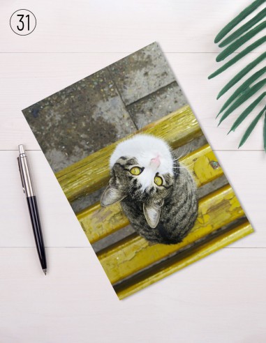 Cartes postales