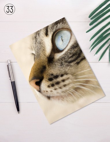 Postkaarten
