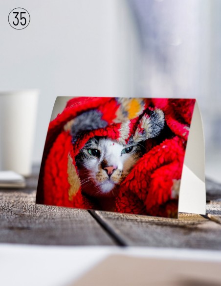 Cartes postales