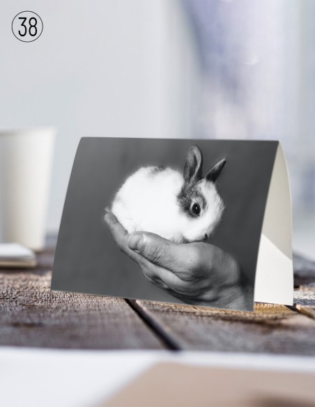 Postkaarten