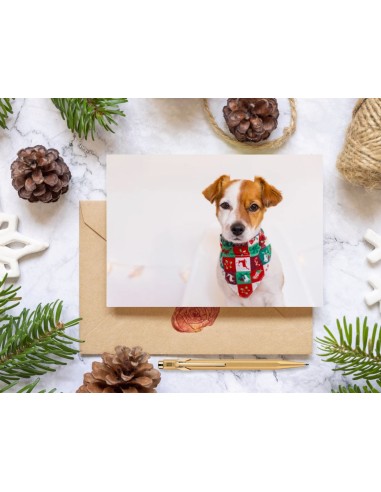 Cartes de vœux édition 2025 (format paysage)