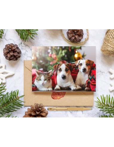 Cartes de vœux édition 2025 (format paysage)