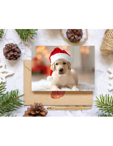 Cartes de vœux édition 2025 (format paysage)