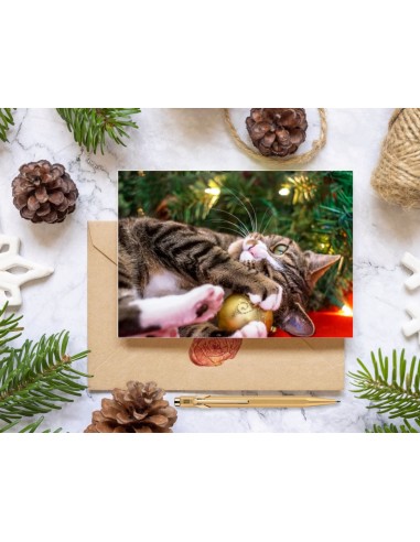 Cartes de vœux édition 2025 (format paysage)