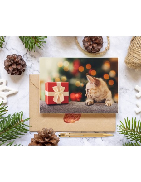 Cartes de vœux édition 2025 (format paysage)