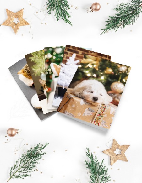 Wenskaarten (staand)