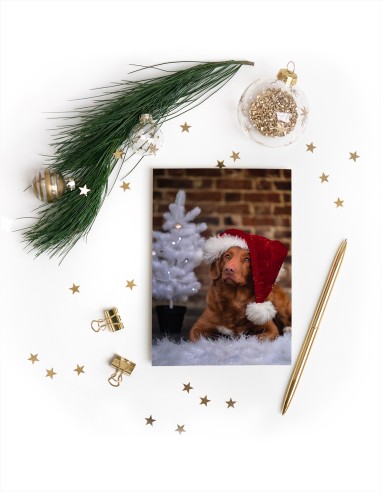 Wenskaarten (staand)