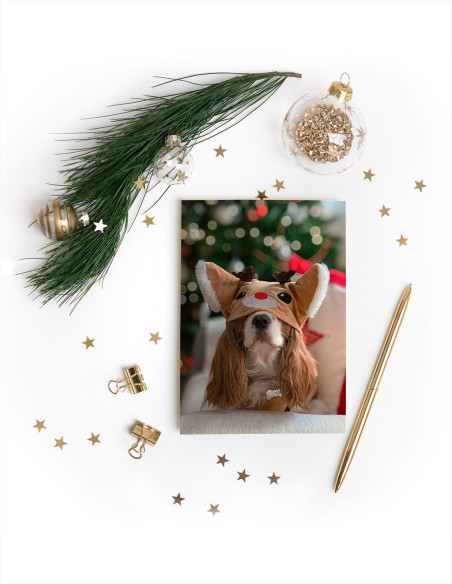 Wenskaarten (staand)