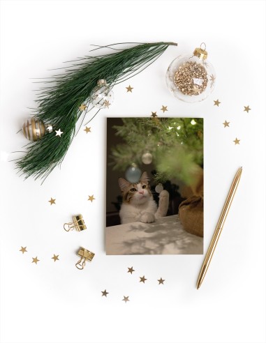 Wenskaarten (staand)