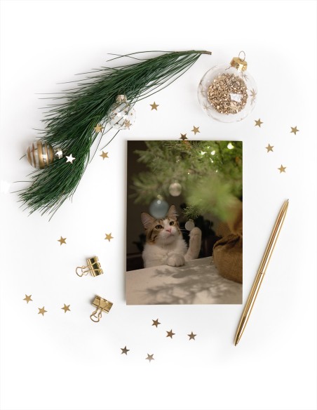 Wenskaarten (staand)