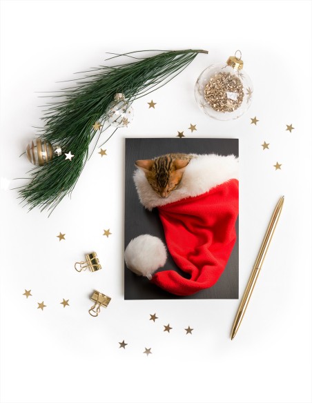 Wenskaarten (staand)