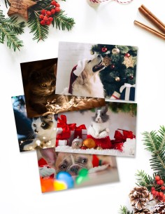 Cartes de vœux (format paysage)