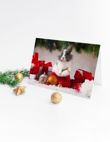 Cartes de vœux (format paysage)