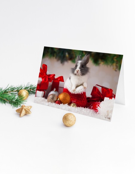 Cartes de vœux (format paysage)