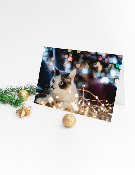 Cartes de vœux (format paysage)