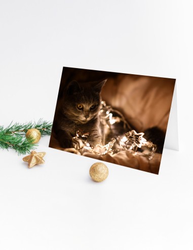 Cartes de vœux (format paysage)