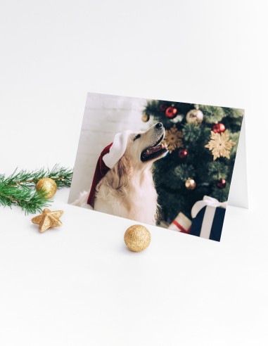 Cartes de vœux (format paysage)