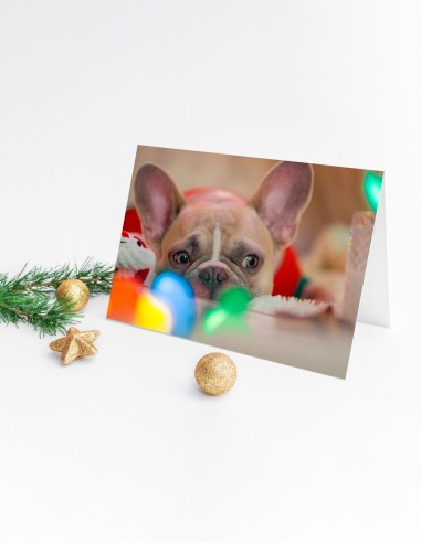 Cartes de vœux (format paysage)