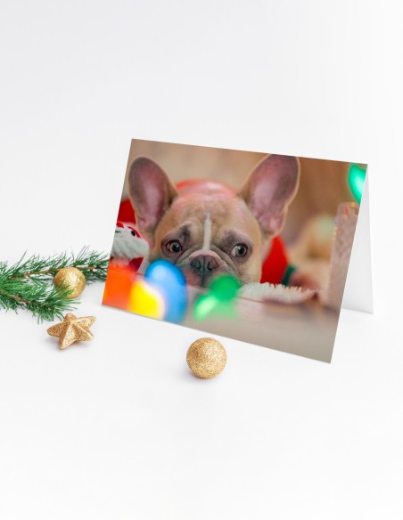 Cartes de vœux (format paysage)