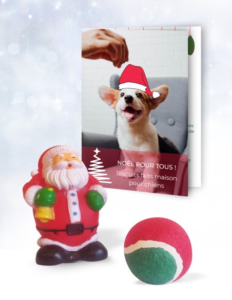 Jouets pour chien