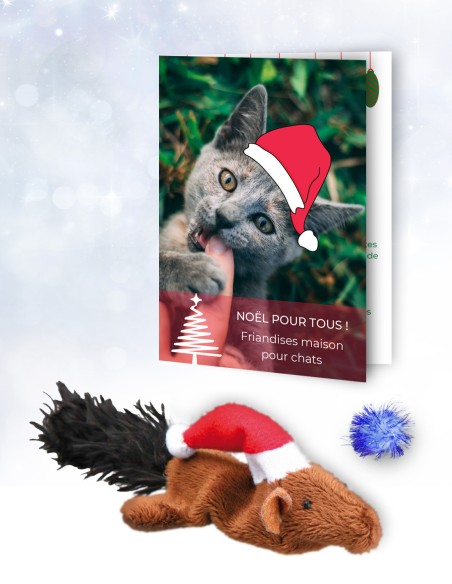 Jouets pour chat